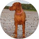 Dalia Furtado profile picture